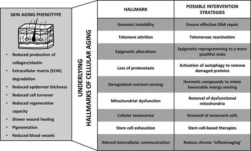 The Role of NAD+ in Regenerative Medicine