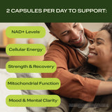 NAD+ (NMN + Resveratrol)