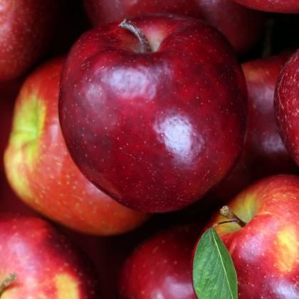 Ripe red apples stacked close, one with a green leaf still attached
