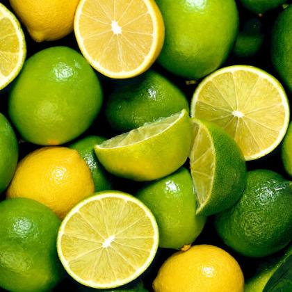 Limes and lemons, whole and halved, filling the frame